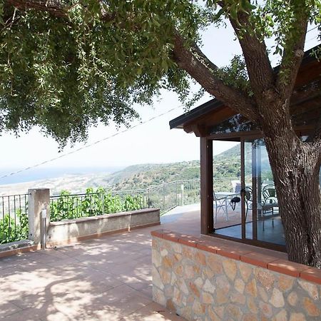 B&B Le Rose Del Tirreno Falerna Exteriér fotografie