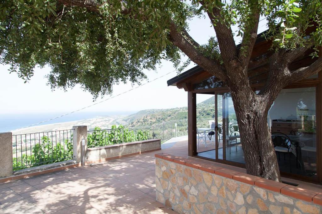 B&B Le Rose Del Tirreno Falerna Exteriér fotografie