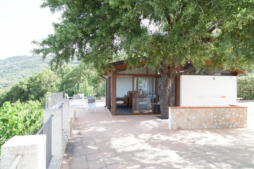 B&B Le Rose Del Tirreno Falerna Exteriér fotografie